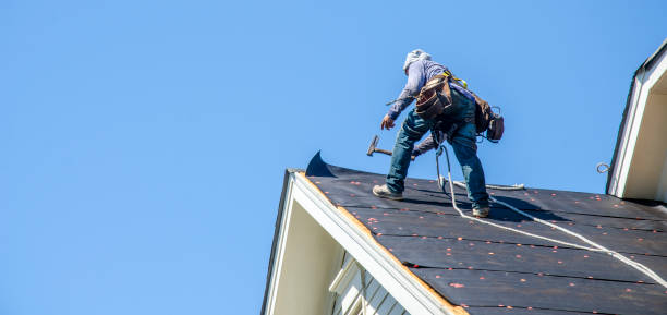 Best Roof Gutter Cleaning  in Reidville, SC